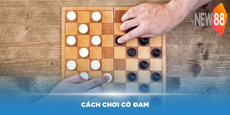 Cách Chơi Cờ Đam - Hướng Dẫn Giúp Bạn Trở Thành Bậc Thầy